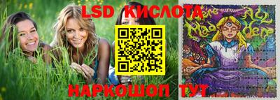 Альфа ПВП Краснознаменск
