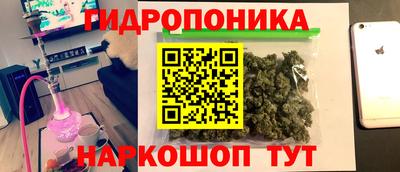 Альфа ПВП Краснознаменск